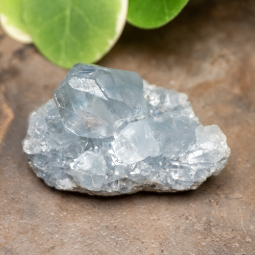 Celestite Raw #1