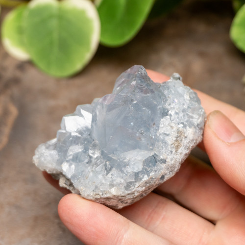 Celestite Raw #1