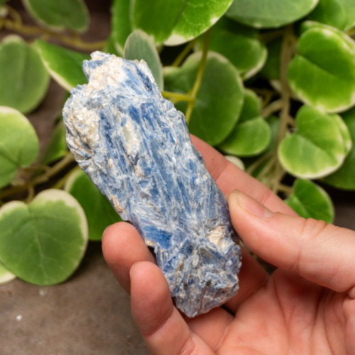 Blue Kyanite Raw #6