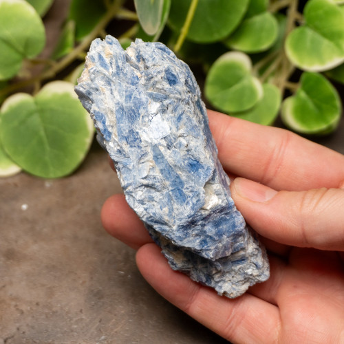 Blue Kyanite Raw #6