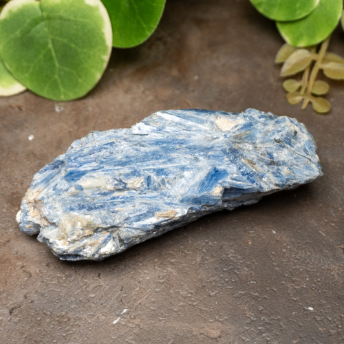 Blue Kyanite Raw #6