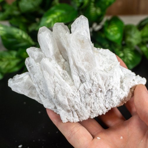 Raw Danburite Family With Pyrite #2