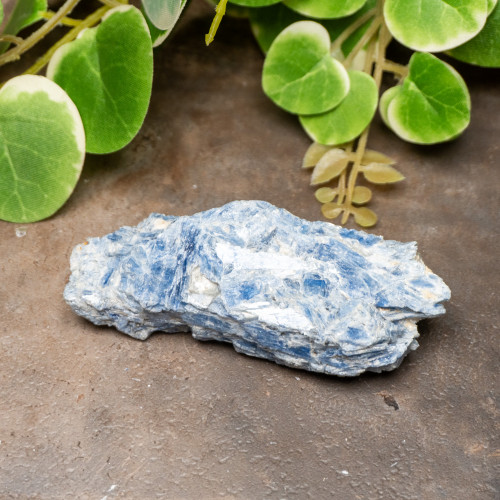 Blue Kyanite Raw #6