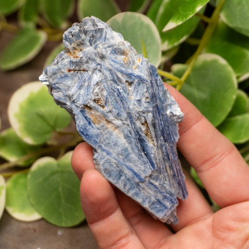 Blue Kyanite Raw #5