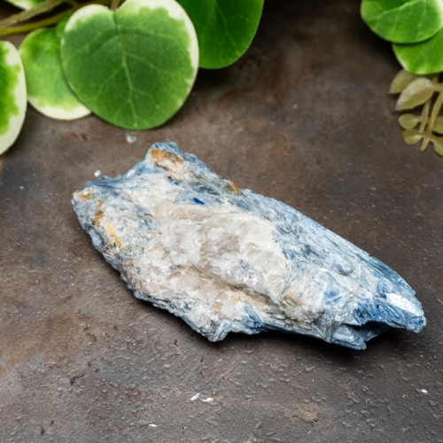 Blue Kyanite Raw #5