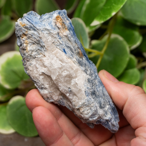 Blue Kyanite Raw #5