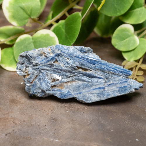 Blue Kyanite Raw #5