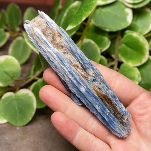 Blue Kyanite Raw #4