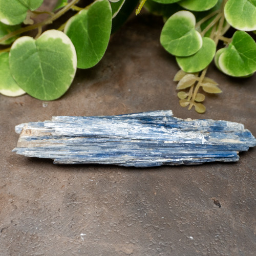 Blue Kyanite Raw #4