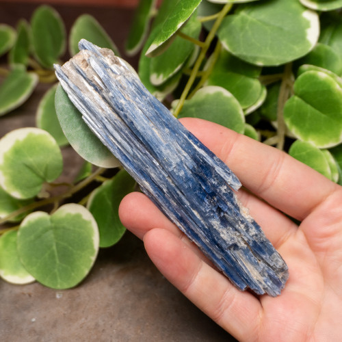 Blue Kyanite Raw #4