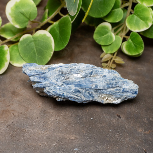 Blue Kyanite Raw #3