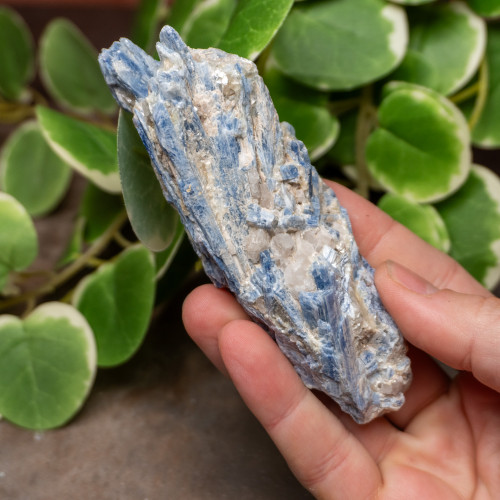 Blue Kyanite Raw #3