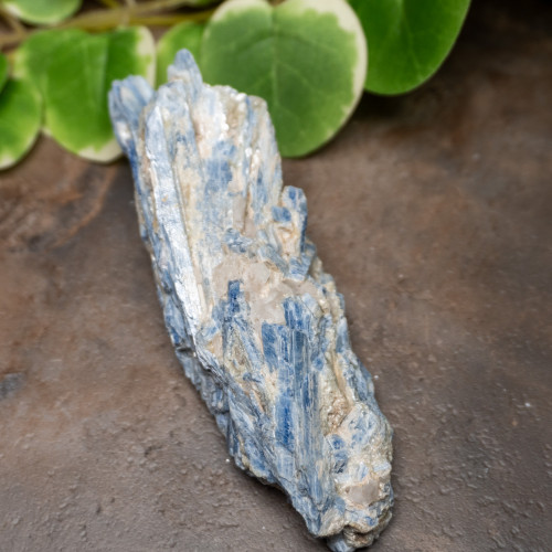 Blue Kyanite Raw #3