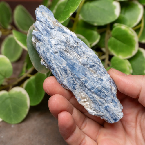 Blue Kyanite Raw #3