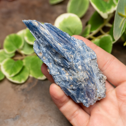 Blue Kyanite Raw #2