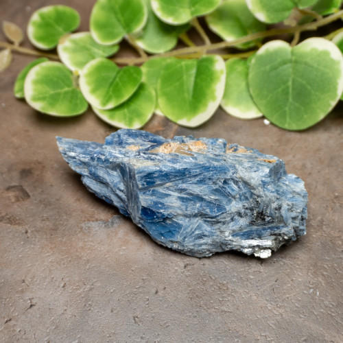 Blue Kyanite Raw #2