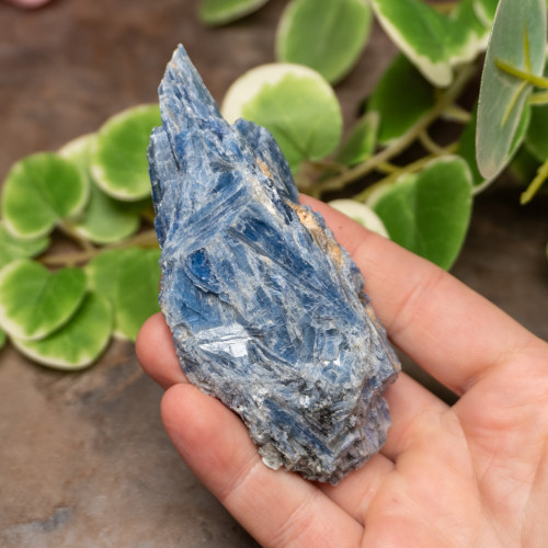 Blue Kyanite Raw #2