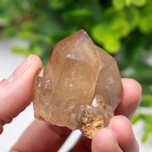 Kundalini Citrine #10