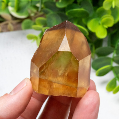 Kundalini Citrine #5