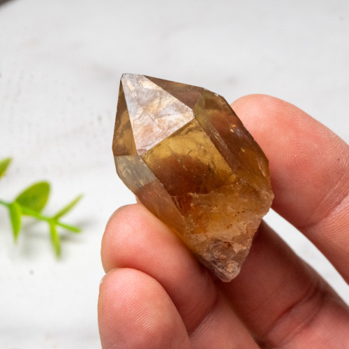 Kundalini Citrine #4