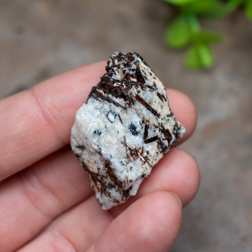 Astrophyllite Raw #1