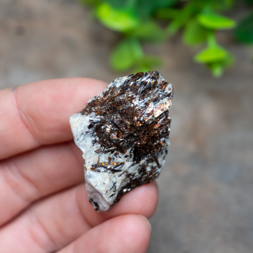 Astrophyllite Raw #1