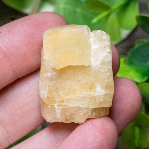 Yellow Danburite Raw #3