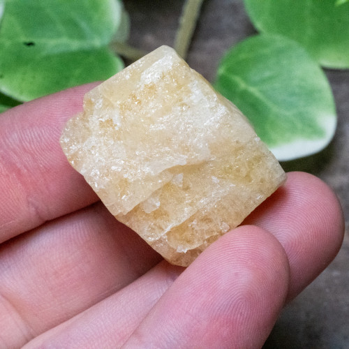 Yellow Danburite Raw #3