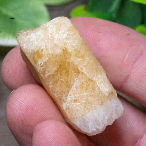 Yellow Danburite Raw #2