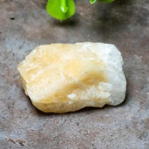 Yellow Danburite Raw #2