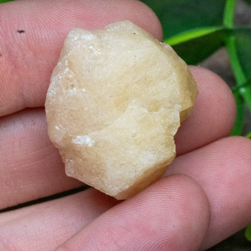 Yellow Danburite Raw #1