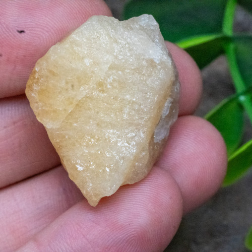 Yellow Danburite Raw #1