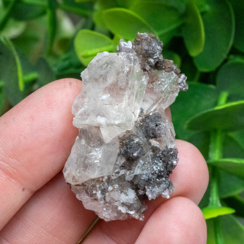 Dogtooth Calcite on Fluorite #10