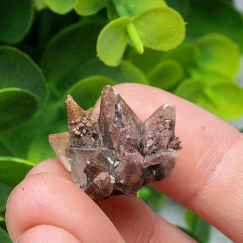 Dogtooth Calcite on Fluorite #8