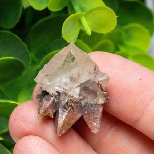 Dogtooth Calcite on Fluorite #8