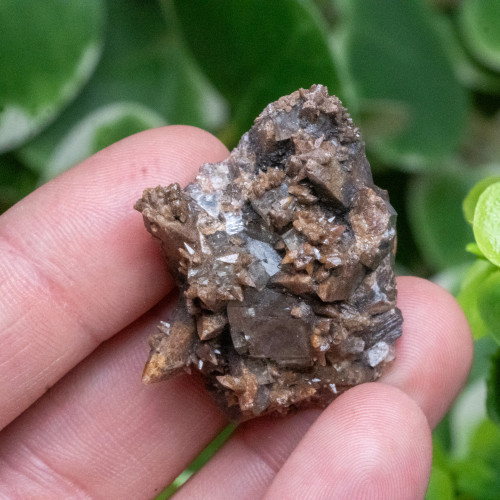 Dogtooth Calcite on Fluorite #6