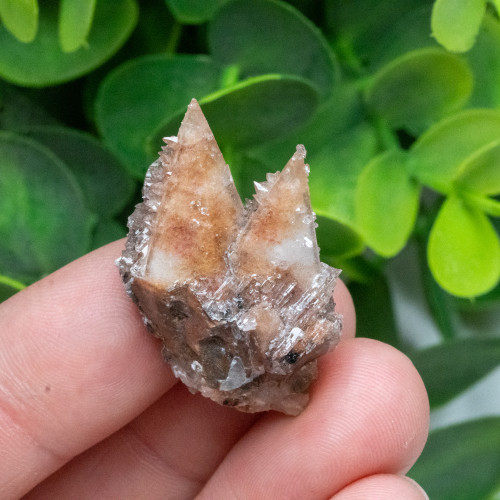 Dogtooth Calcite on Fluorite #5