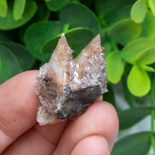 Dogtooth Calcite on Fluorite #5