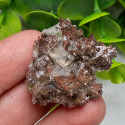 Dogtooth Calcite on Fluorite #3