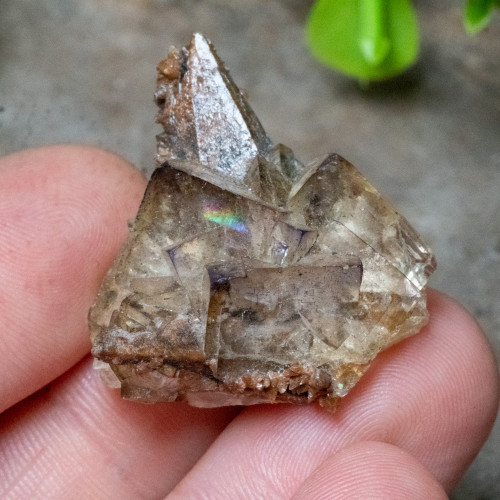 Dogtooth Calcite on Fluorite #1