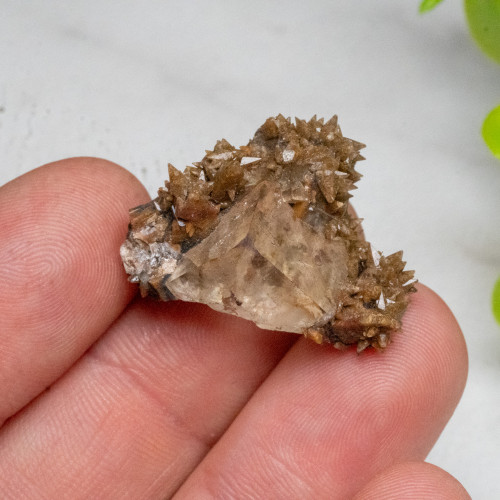 Dogtooth Calcite on Fluorite #2