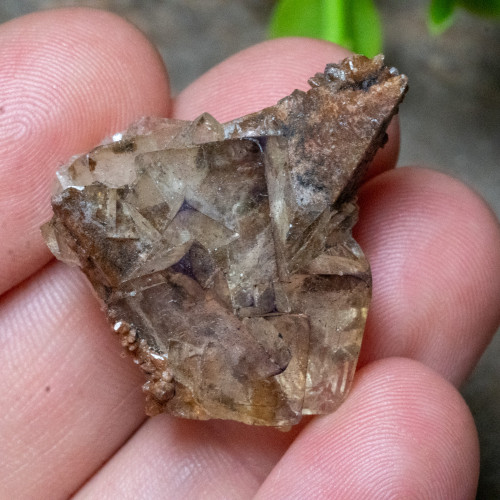 Dogtooth Calcite on Fluorite #1