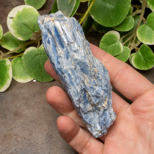 Blue Kyanite Raw #1