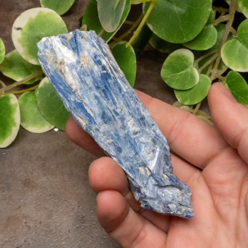 Blue Kyanite Raw #1