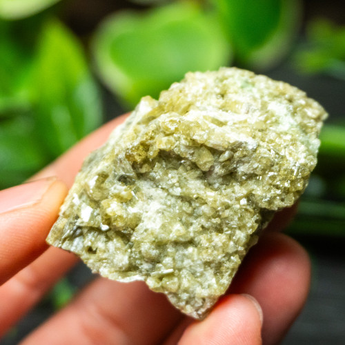 Vesuvianite Small Raw #10