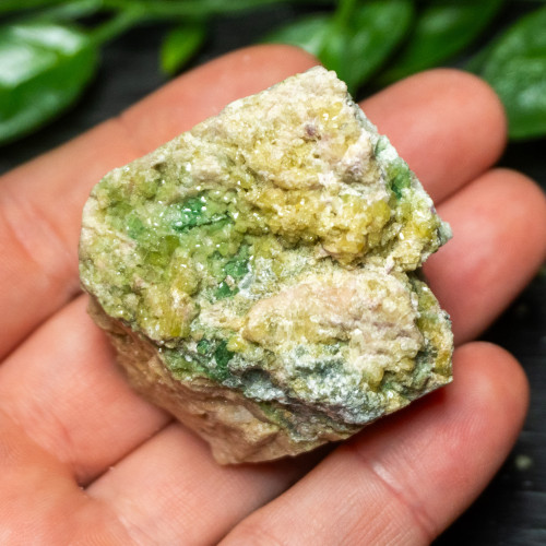 Vesuvianite Small Raw #5