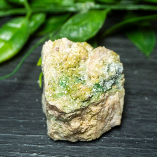 Vesuvianite Small Raw #5
