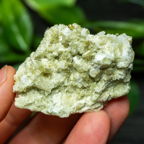 Vesuvianite Small Raw #8