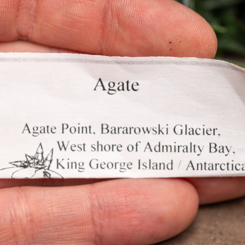 Antarctica Agate Slice #1