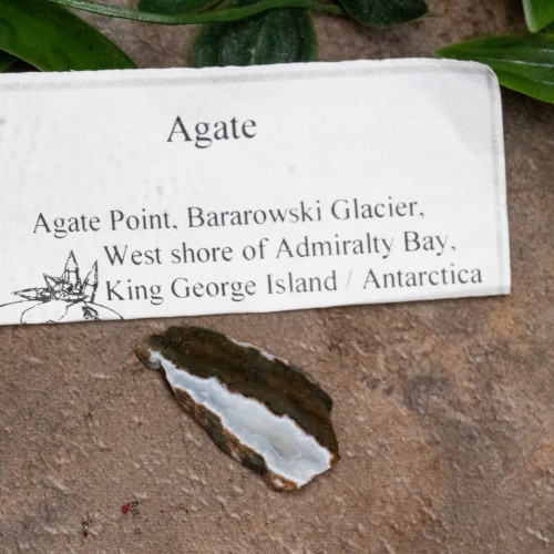 Antarctica Agate Slice #1